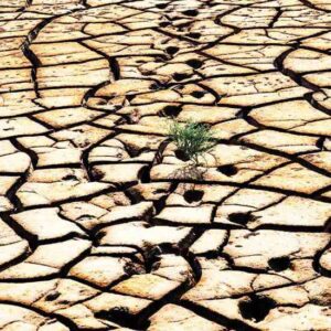 Is the Water Crisis Interesting Enough for the News? Image